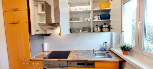 Helles Apartment mit Balkon am Großen Garten nahe Stadtzentrum, Drážďany (fotografie 3)