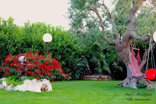 B&B Villa Cassandra – Castellana Grotte, LA