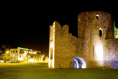 Trim Castle Hotel - image 4