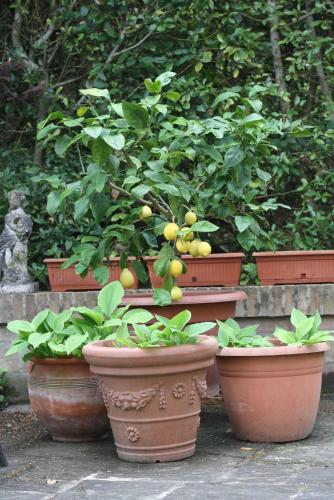 Villa Balducci gîte à louer Città di Castello