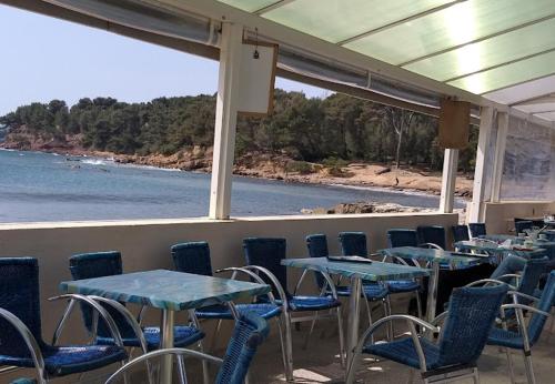 Étterem, Petit paradis classé 3 étoiles à 200m de la plage! Terrasse-Wifi-Parking-clim (Petit paradis classe 3 etoiles a 200m de la plage! Terrasse-Wifi-Parking-clim) in Saint Mandrier Sur Mer