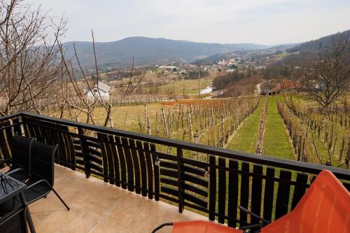 Vineyard cottage Cvitkovič