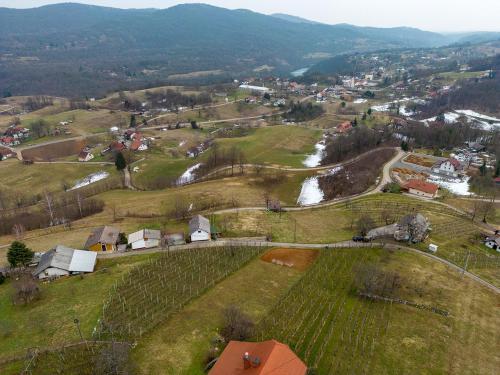 Vineyard cottage Cvitkovič