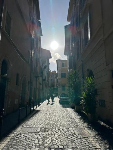 ROMA centro storico piazza Navona San Pietro a piedi, Roma (foto 8)