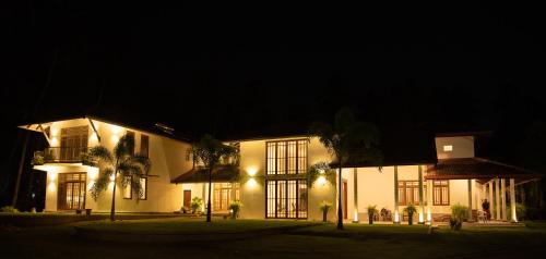 Tectona Grandis - Negombo