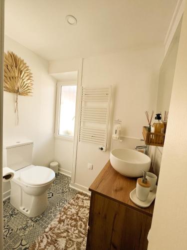 Champagne Philippe Martin