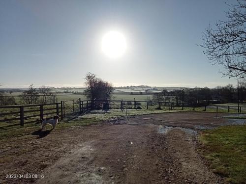 Rosegarth Bed and Breakfast