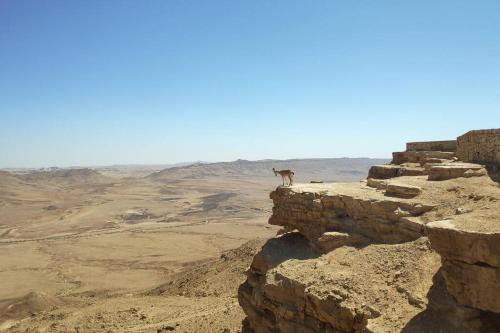Nearby attraction, Desert Breeze in Mitzpe Ramon