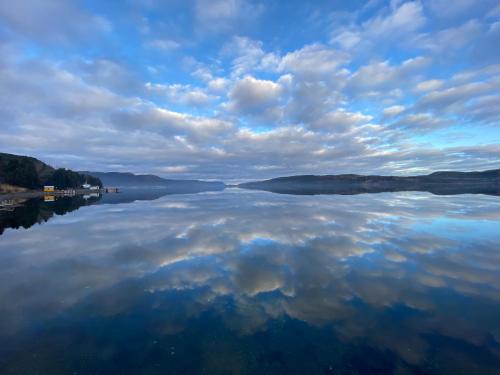 A környék, Roy’s in Springdale