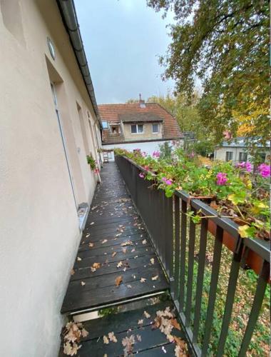 Nice and comfortable studio in Pankow, Berlin (photo 11)