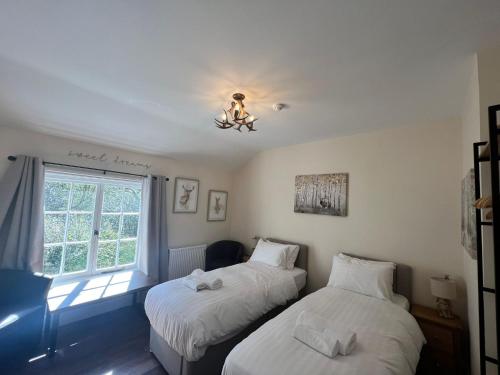 2 twin beds