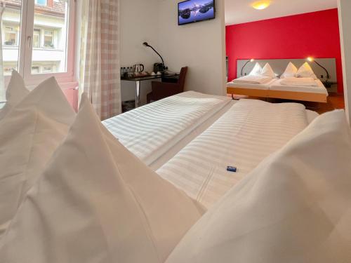 Hotel Rothaus Luzern & Peruvian Culinary Art - image 5