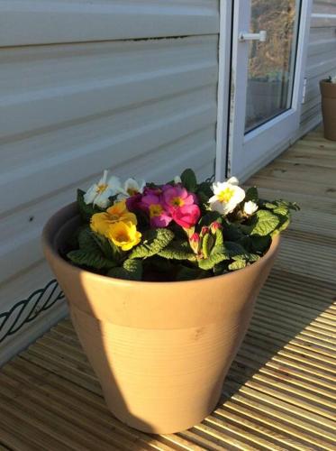 Coed Bach, Nr Rhosneigr, Anglesey (Pet Friendly) in Bryngwran