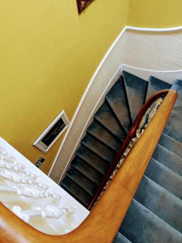 The Coo's Guest House - image 8
