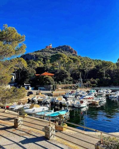 Surrounding environment, Cap Esterel Studio climatise vue mer partielle near LA TABLE D EMI