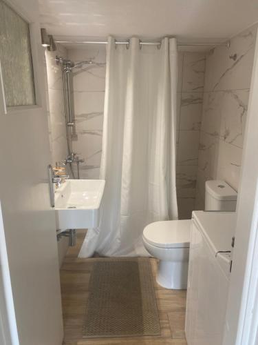 Thiseio Big Apartment, Athens (photo 3)