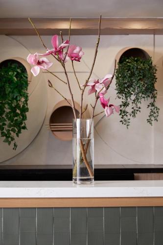 448156894 Kimpton Hotel Enso by IHG