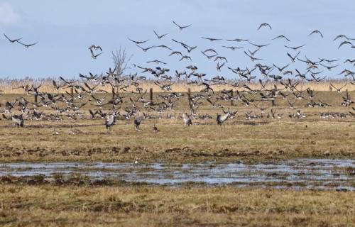 Kopice " Kowalczyk Hotel Residences In Nature Parks "