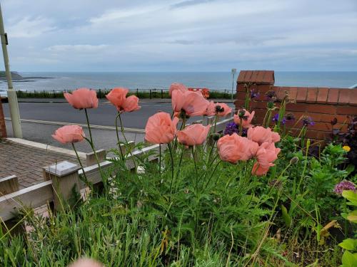 Picture of Sea Side Flat 3 With Fast Wifi And Free Parking