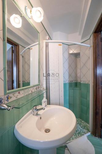 One-Bedroom Apartment image 10