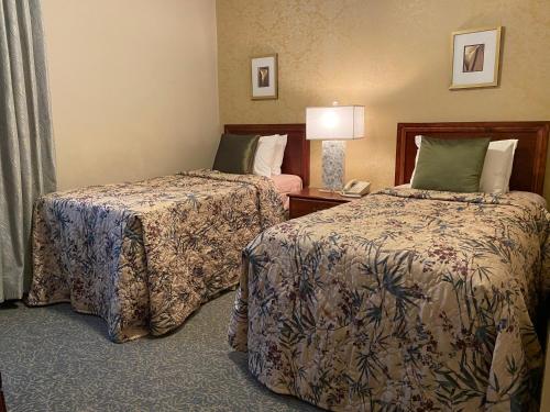 Kingston Hotel Room Type - Standard Twin Room