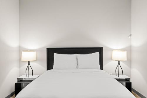 WhyHotel by Placemakr Columbia - image 5