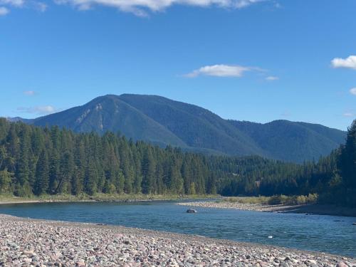 Reclusive Moose Cabins