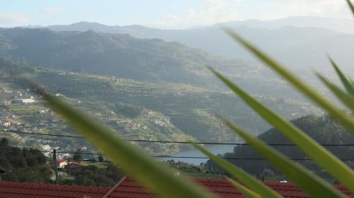 Refúgio do Douro - Alojamento Local, Baião (foto 6)