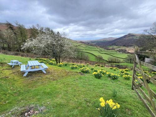 High Kiln Bank Cottage - image 11