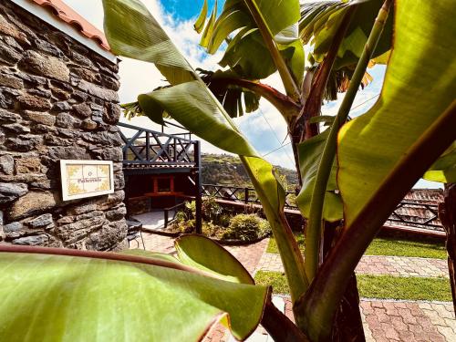 Typical House -Madeira Inn Group