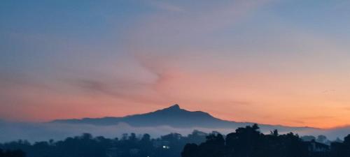 The Tenthola, Kandy