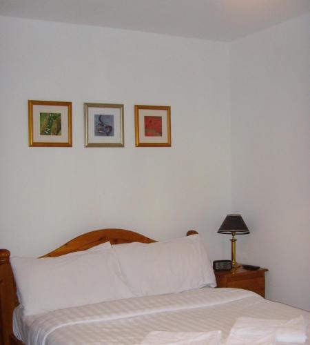 Twin Lions Hotel - main image