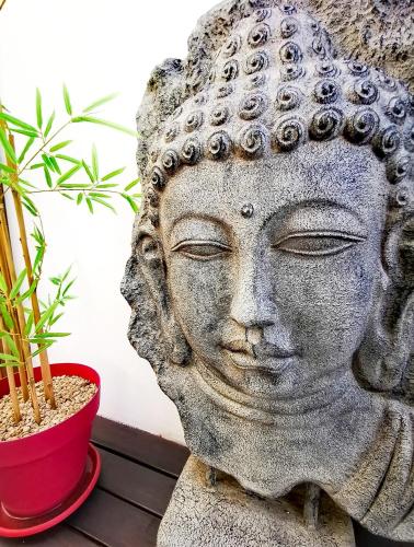 Villa Grain de café, 4 chambres piscine accès plage