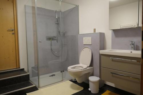 Appartement Nummer 12 in Going am Wilden Kaiser