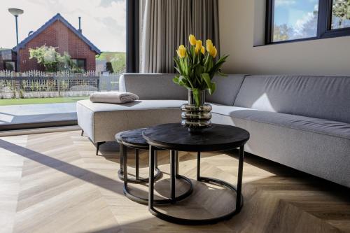  Prachtige bungalow op vakantiepark bij zee. in Baarland