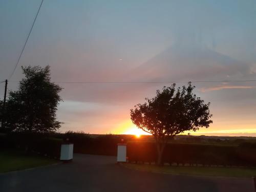 Lecale Bliss - Ballynahinch