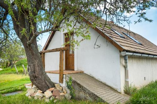  Tagyon Birtok Mandula Apartmanház in Tagyon