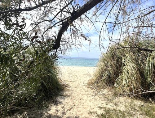 Spacious Maisonette on the eu Blue Beach of Kalogria in Sithonia, Greece