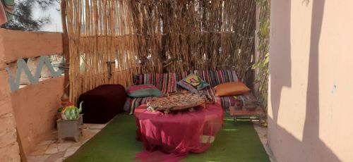 Rural Guest House فندق البيت الريفي in Tanta