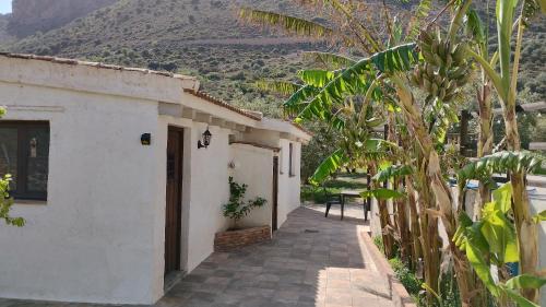 Vestabils, El Ventorrillo la alegría (El Ventorrillo la alegria) in Pilarejo
