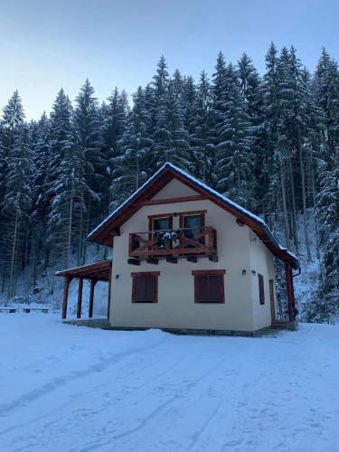 Chata Mošnica - Chalet - Lazisko