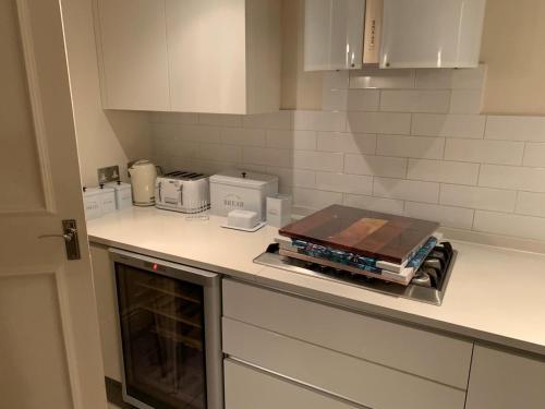 Kitchen, Hyde Park Villa in London