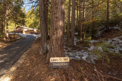 Red Rock Falls Cabin, 8 miles from Yosemite South Gate, with trailhead, Game Room and HotTub