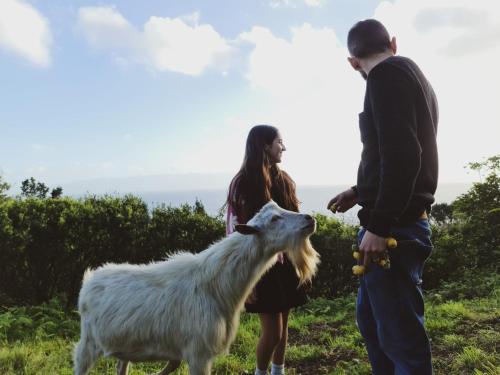 Quinta do Caminho da Igreja TER-Casas de Campo in วีลาส