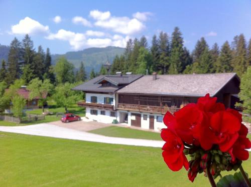 Pension Sunnbichl - image 2