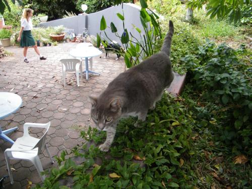 Valley Guest House – Gqeberha, IL