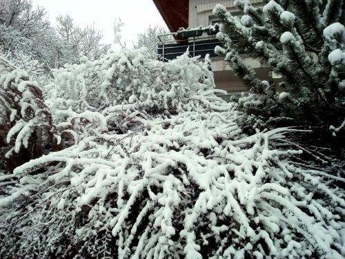 Anna Apartment - image 10