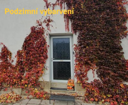 Apartmán U Jakuba (Apartman U Jakuba) in Dvur Kralove Nad Labem