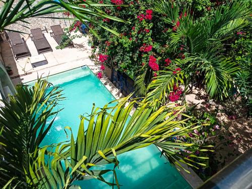 Casa Daniels Guesthouse in Valladolid, Mexico
