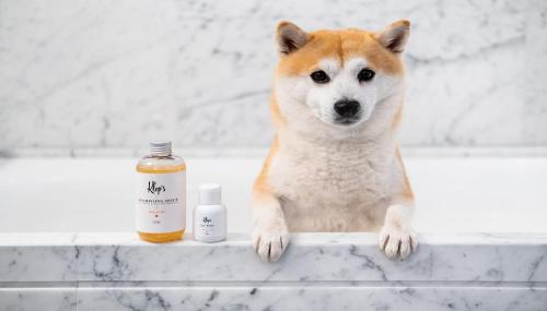 Kimpton - St Honoré Paris an IHG Hotel - image 11